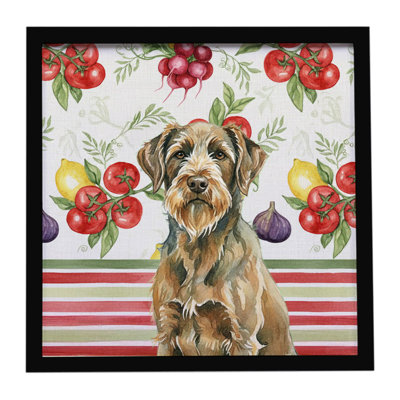 Chestnut Wirehaired Pointing Griffon Vegetables Framed Metal Print