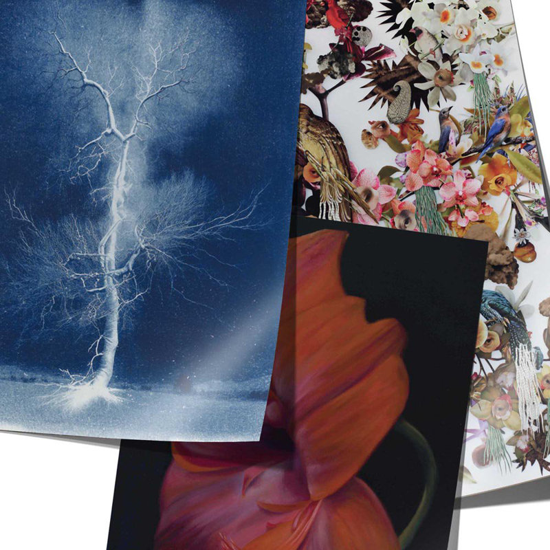 Mysteries of Creation Gift Wrap & Creative Papers Book