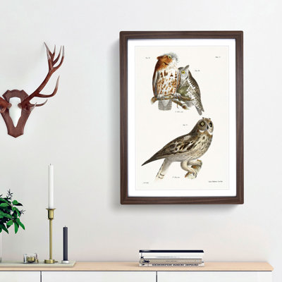 Owls by J.E. De Kay - Framed Print