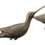 Pelican Wall Art