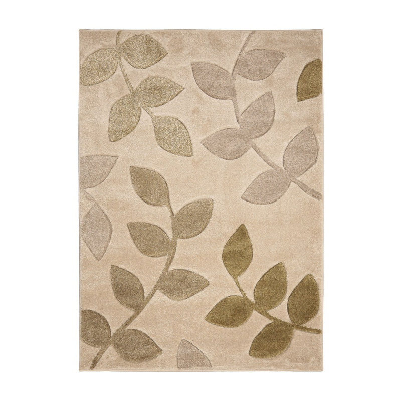 Takaiyah Oriental Area Rug, Rectangle 80 x 150cm
