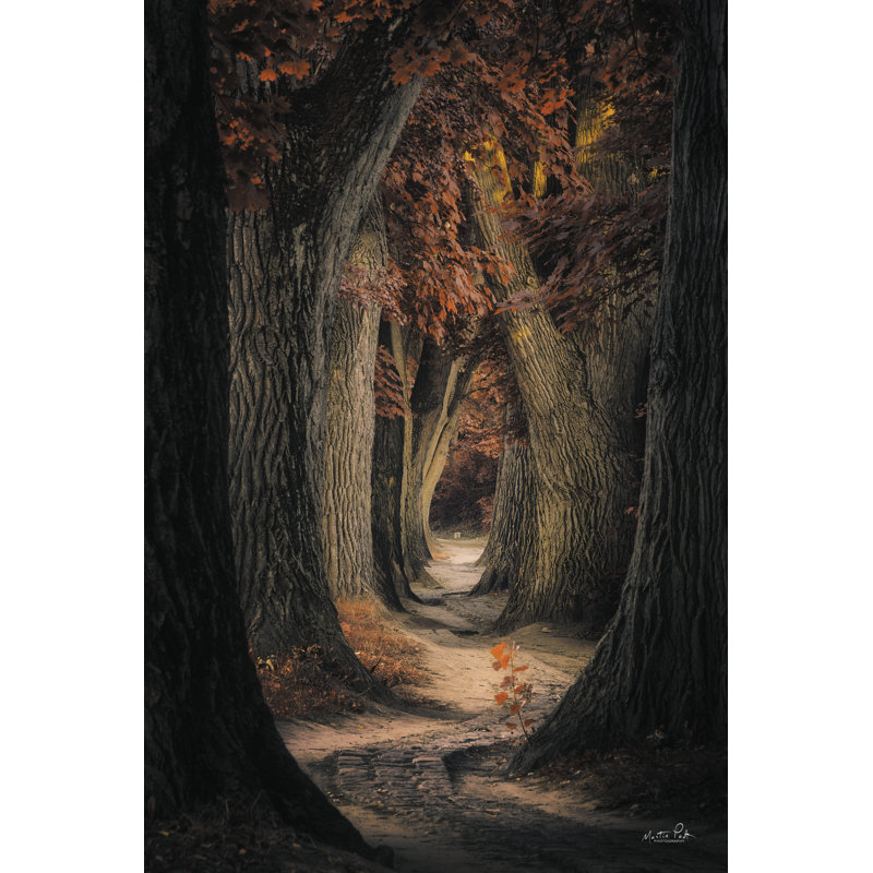 " Same Old Path " by Martin Podt, 18" H x 12" W, No, Wrapped Canvas