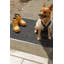 Tapis de cuisine Cabinwood-1810499647