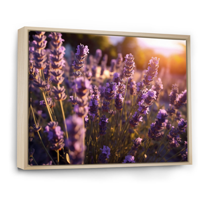«Calming Lavender Landscape I», reproduction sur toile, Cadre naturel flottant, H 16 po x l 32 po x P 1 po
