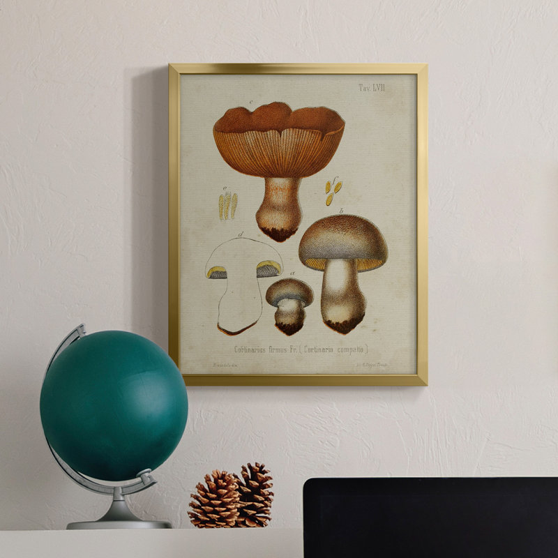 Champignon Variétés I - Toile encadrée de qualité supérieure - Prêt à être accroché