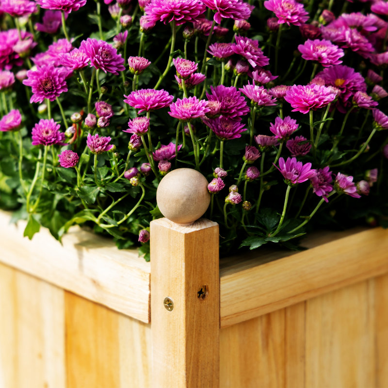 Lit de jardin surélevé en bois avec treillis Outsunny