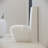 Plaisir One-Piece Elongated Toilet Dual-Flush 1.1/1.6 gpf