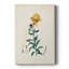 Traditional Botanical III - Gallery Cavas-860032108