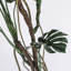 77,57 po Faux plante Monstera en pot-898658634