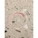 6" x 6" Seastone Cement Cut Shell Scroll Fossil Medallion in Beige