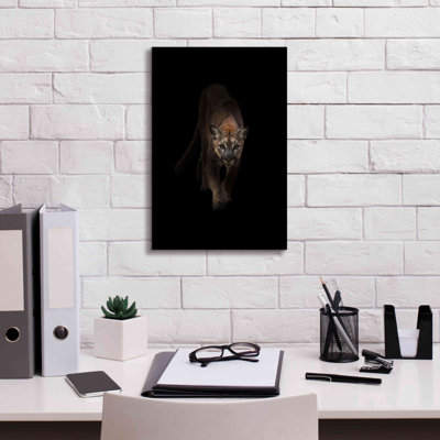 'Lion' by Incado, Giclee Canvas Wall Art