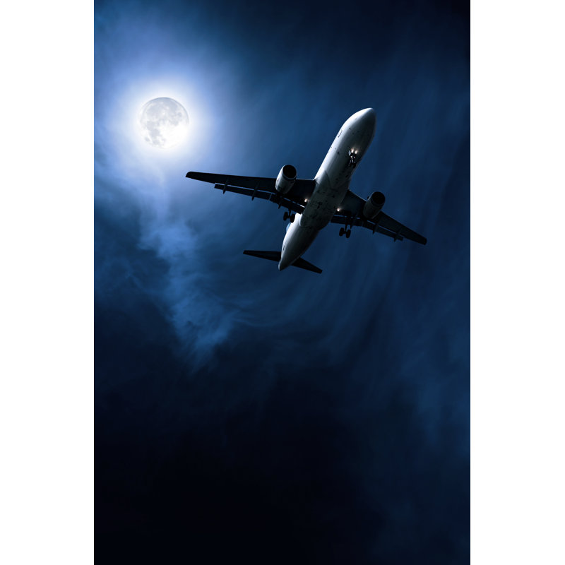 Jet Air Plane par Sharplie_Done, H 48 po x l 32 po