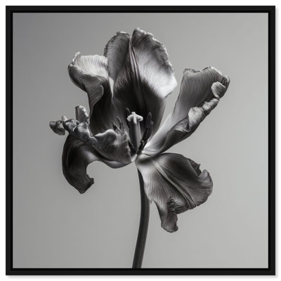 Tidal Wilt III Floral & Botanical Canvas Print by Oliver Gal, Black Frame, 12 x 12