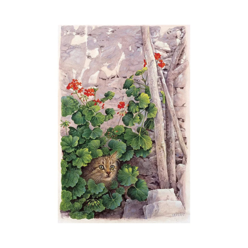 Katia Greek Cat In Geraniums by Ivory Cats - Wrapped Canvas Painting, 30.48 cm H x 45.72 cm W