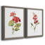 Écarlate géranium - ensemble de 2 reproductions d'art-2102043200-2102043211-2102043223