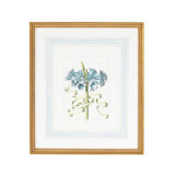 Blue Floral With Ribbon-D Print