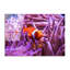 Boze Wall Decor on Tempered Glass