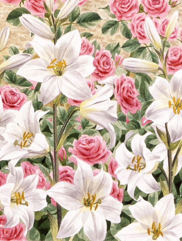 Double Sided Polyester Garden Flag, 40" H x 28" W