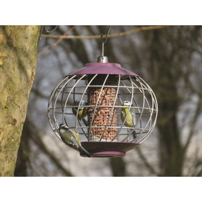 Suhaani Metal Hanging Hopper Bird Feeder