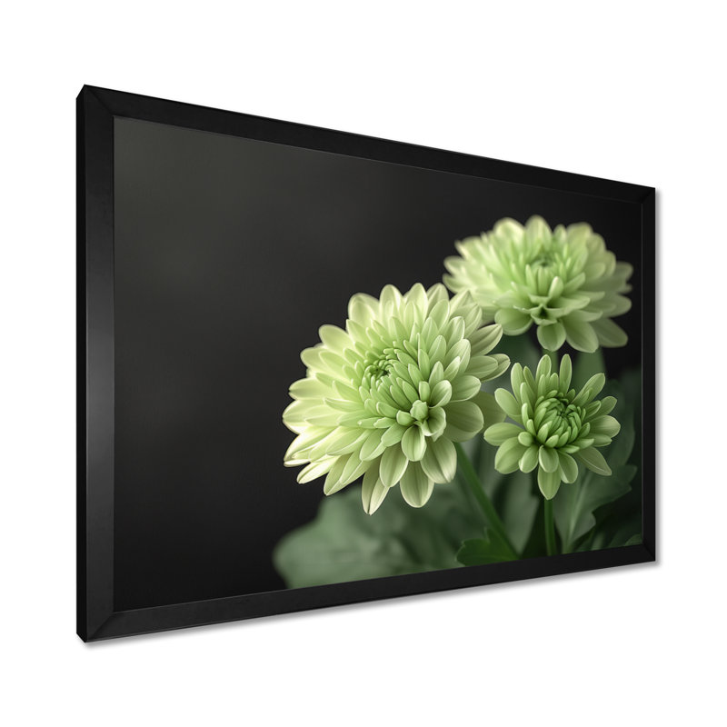 «Green Monochrom Mums Flowers Bouquet II», reproduction d'art mural, Cadre simple noir, bois massif