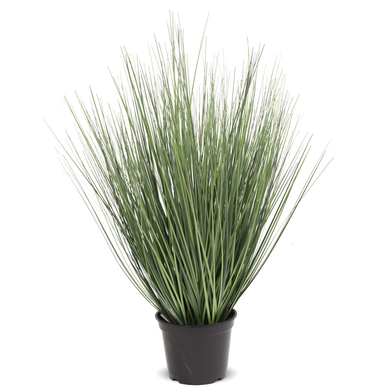 Faux Evergreen Grass in Pot, 70cm H x 37cm W x 37cm D, Dark Green, Brown