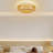 Bamboo Flush Mount Ceiling Light Fixture