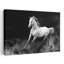Art mural cheval abstrait Fergana-565213839