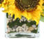 Cummins tournesol floral dans un vase-582800606