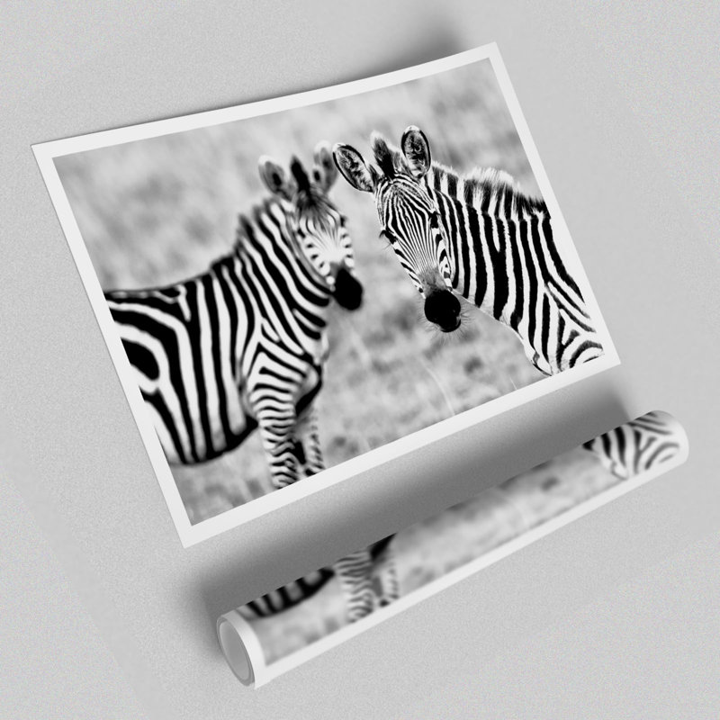 Zebra Twins - No Frame Print, 100 cm H x 141.4 cm W