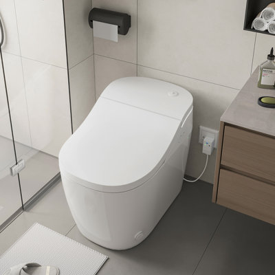 Toilette à bidet Vittuone Smart Smart Reconnaissances pour hommes