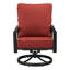 Lux Outdoor Swivel Lounge Chair-667777227