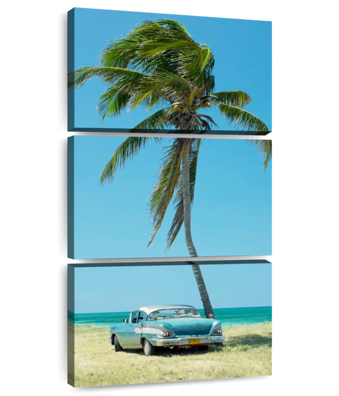Tropical Classic Car, 44" H x 21" W