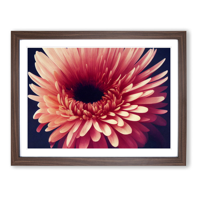 Inspiring Chrysanthemum Flower - Framed Print, 46cm H x 64cm W x 2cm D, Walnut