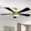 Braxton 52'' Ceiling Fan with LED Lights