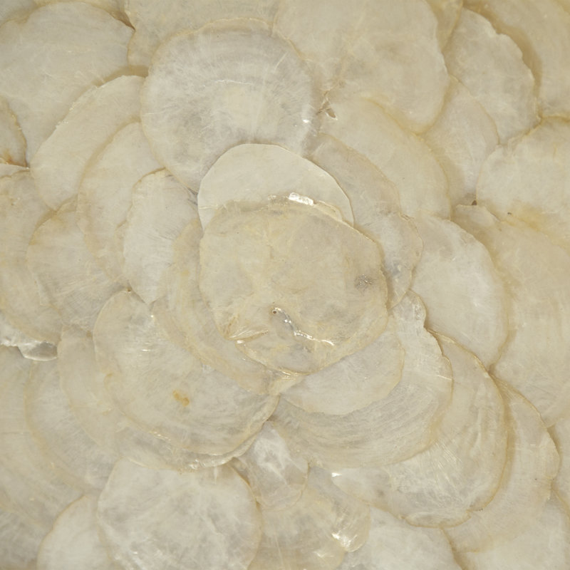 Abstract Shell Print