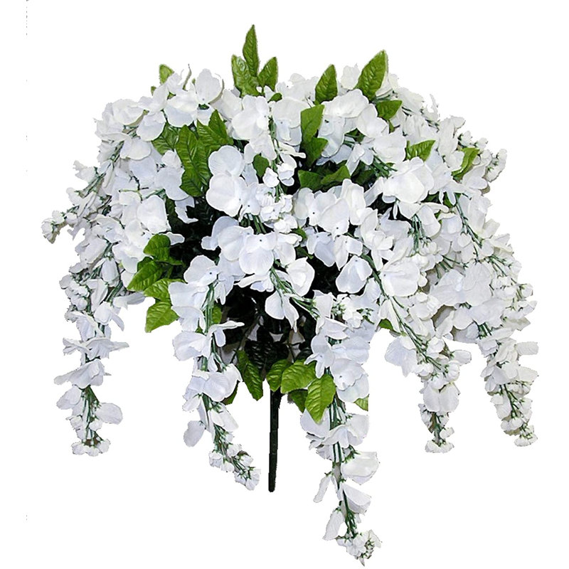 Tiges de glycine, Blanc