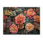 Symphonie du jardin d'Echeveria Elegans Succulent I - décoration murale en bois succulent - sur bois de pin naturel-2123021345
