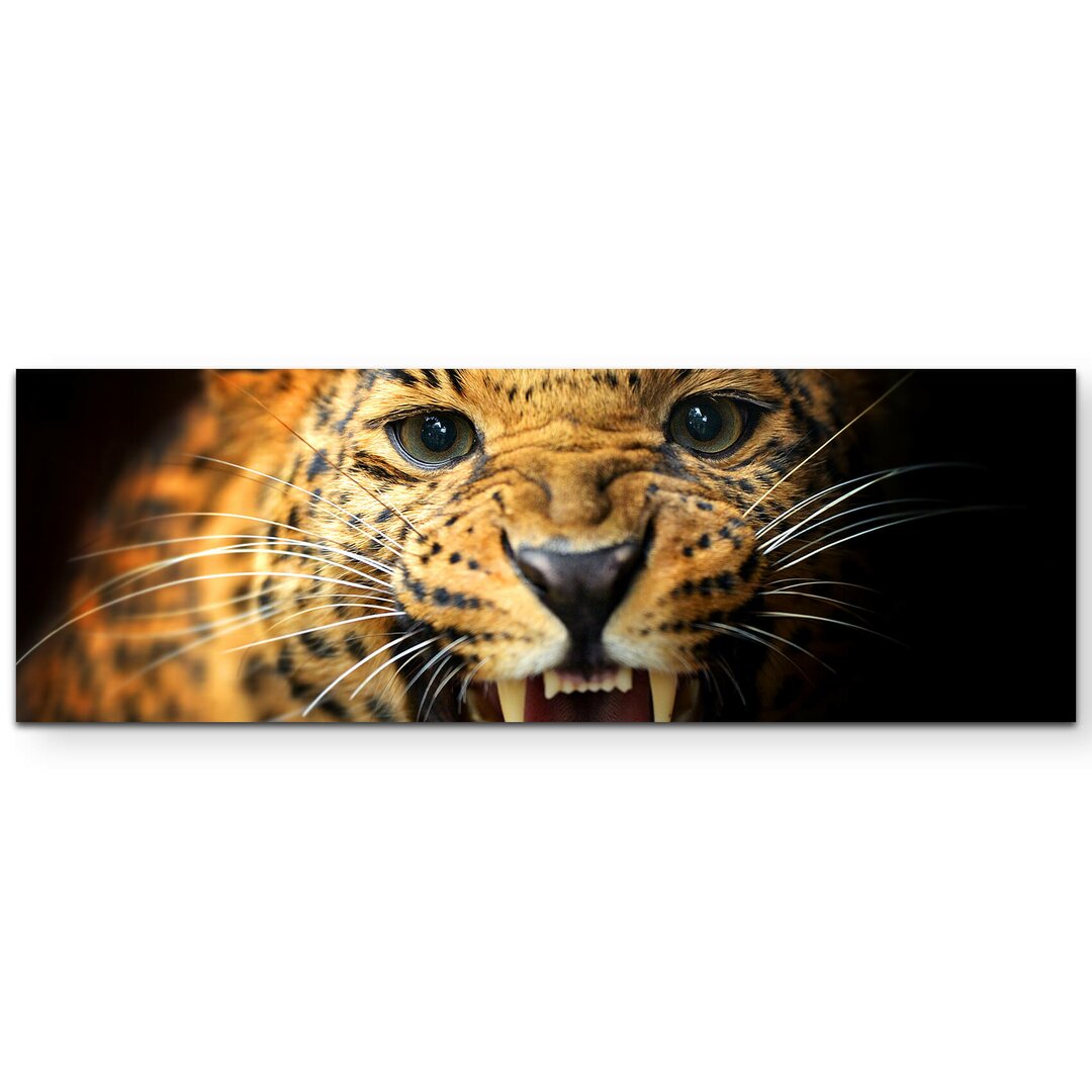 Leinwandbild Portrait eines fauchenden Leoparden