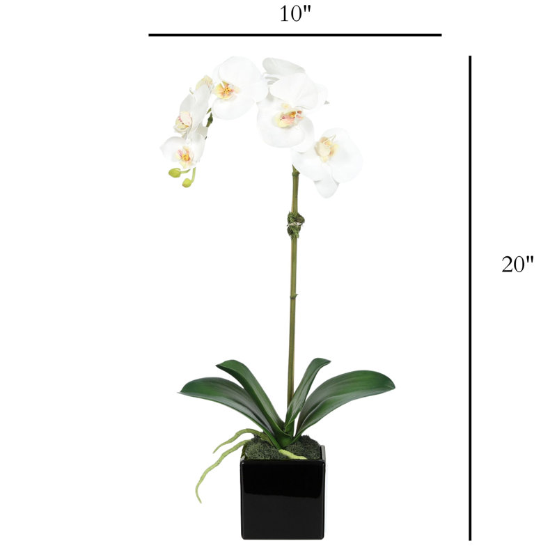Arrangement d'orchidées en polysilk, Blanc, Noir