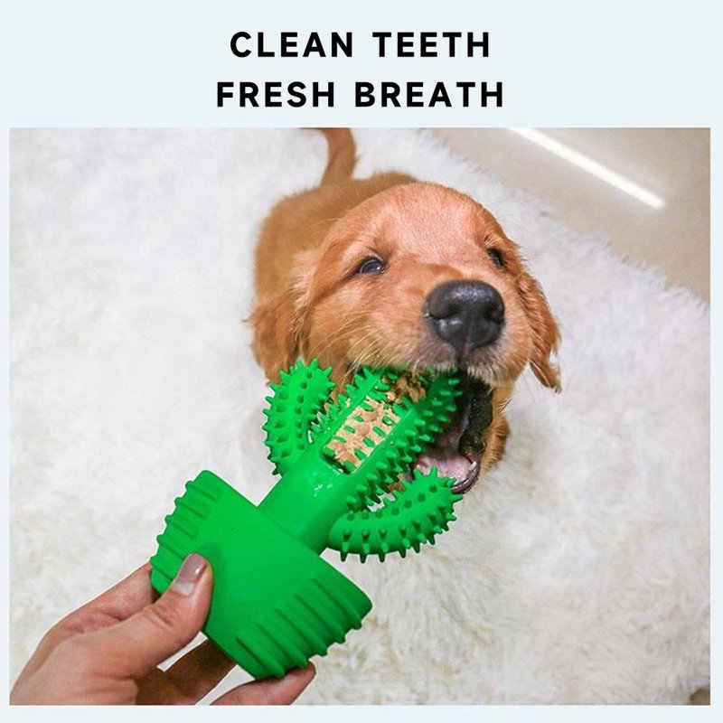 Brosse à dents Dog Dog