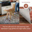 Tapis persan traditionnel lavable à la machine Judy SpinClean-1590626381