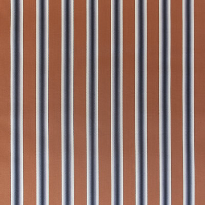 Lorenzo Castillo Volume V Striped 100% Cotton Fabric