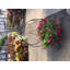 Support pour plante Karthic