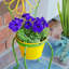 Pot à fleurs Elleker-1229214054