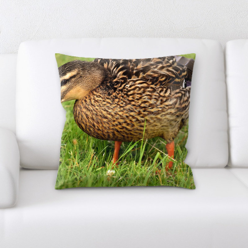 Coussin mallard