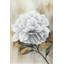 Pivoine blanche, reproduction sur toile