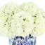 Arrangement d'hortensias dans un vase bleu et blanc