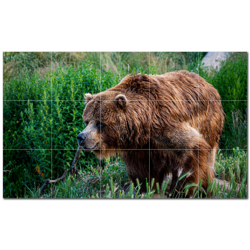Murale en céramique satinée Bear Photo 4,25 po x 4,25 po
