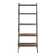 Little Italy Ladder Bookcase