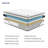 12'' Medium = Side, Back & Stomach Sleepers Mattress-79468379